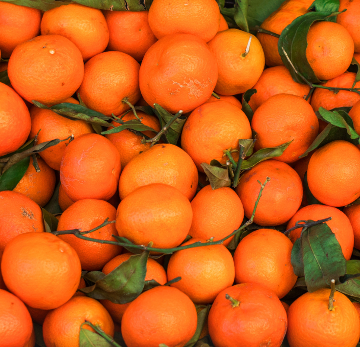 Mandarine clémentine tout sur sa composition nutritionnelle