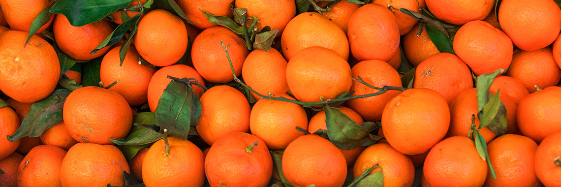 Clementine / Mandarin