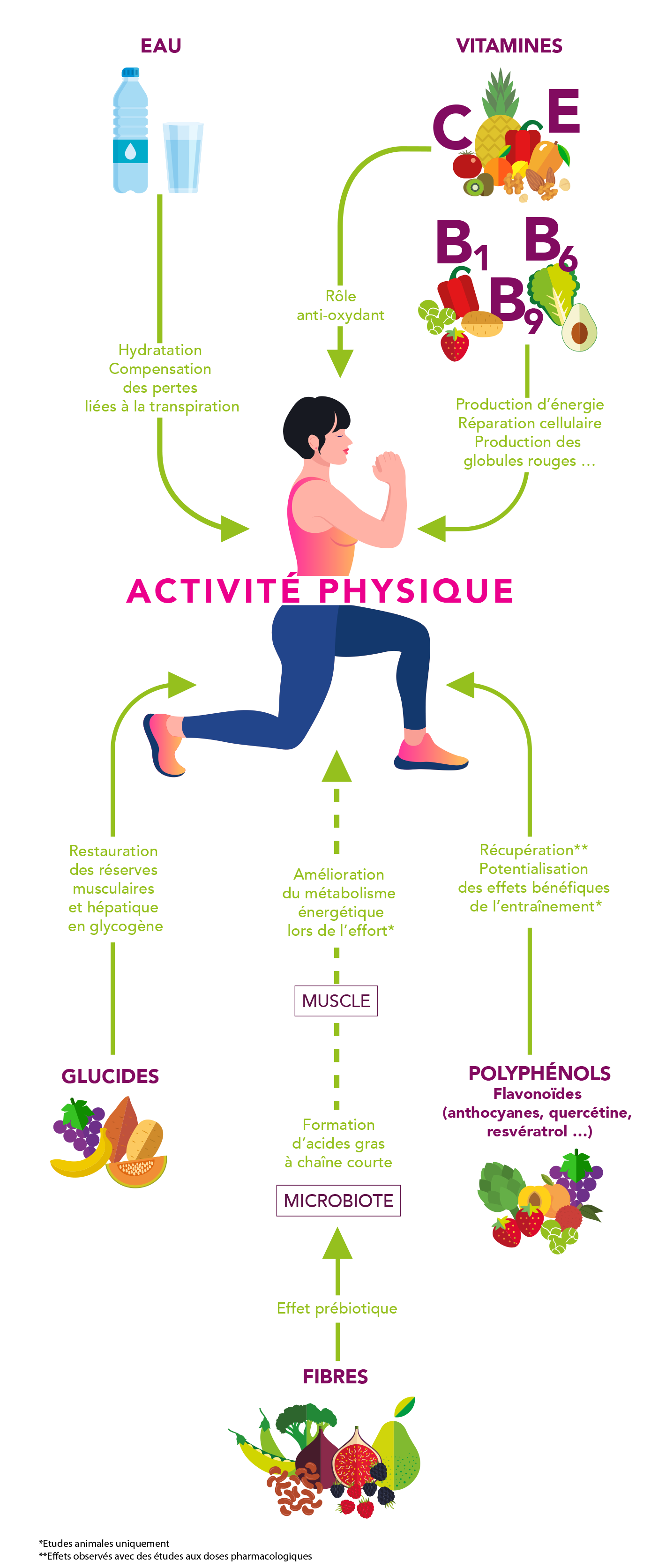 Infographie Aprifel - fruits et légumes et activité physique
