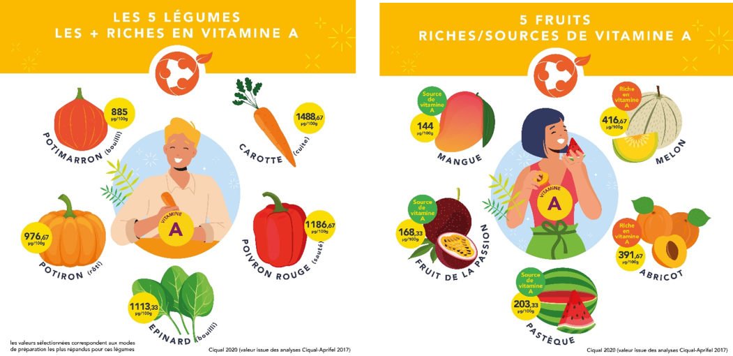 Infographie présentant les fruits et légumes contenant le plus de vitamine A carotte courge mangue Abricot - Aprifel