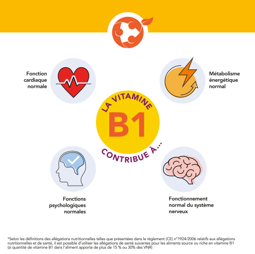 Effets sur le corps de la vitamine B1 - Aprifel