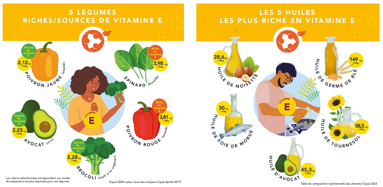 5 légumes et 5 huiles végétales sources de vitamine E