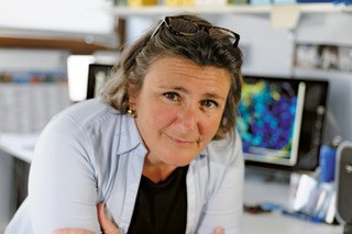 Nathalie Vergnolle, pharmacologue intestinale dans son laboratoire