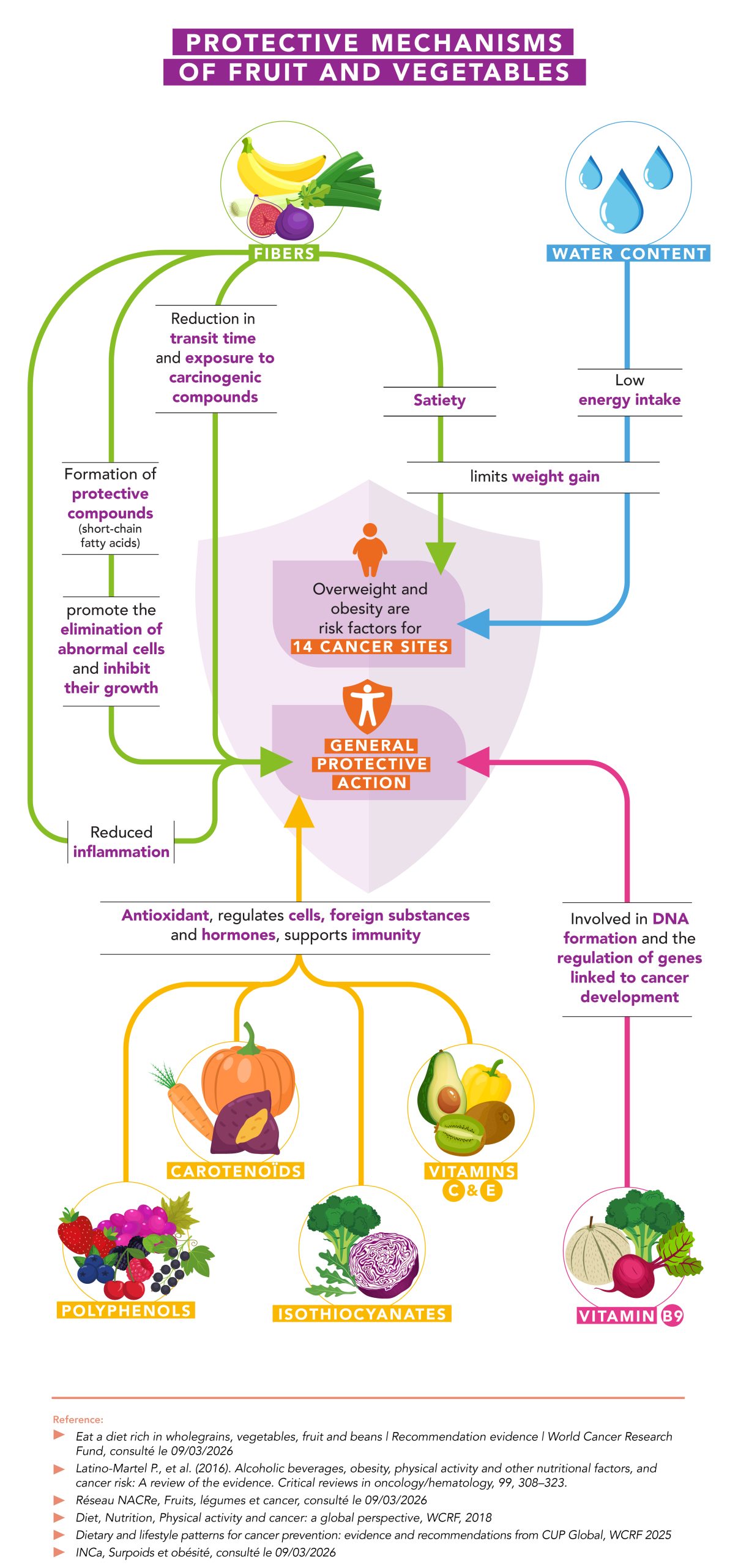Fruit & vegetable and cancer prevention : what are the underlying ...