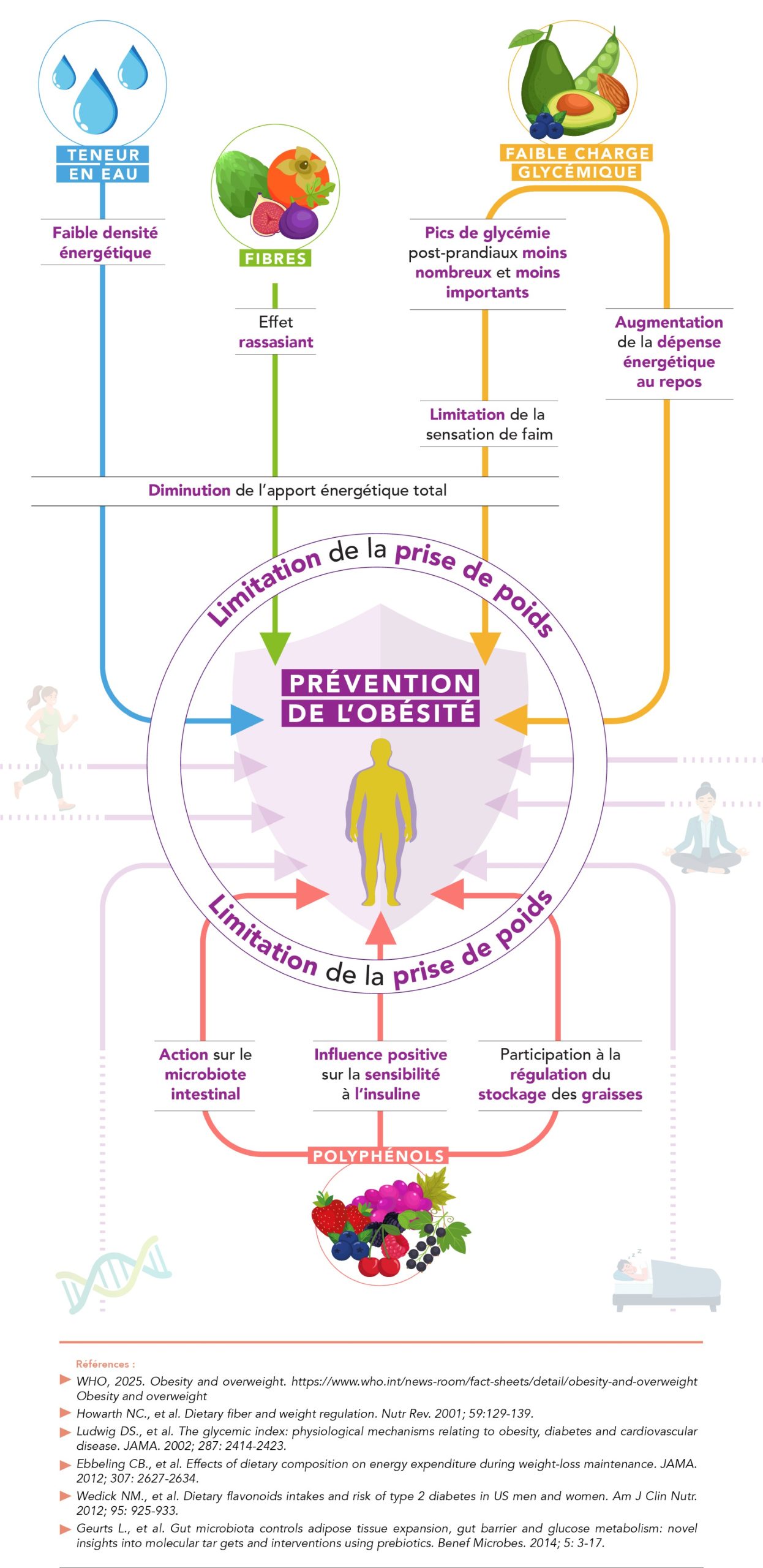 Nutriments des fruits et légumes contribuant à la prévention du surpoids et de l’obésité - Aprifel