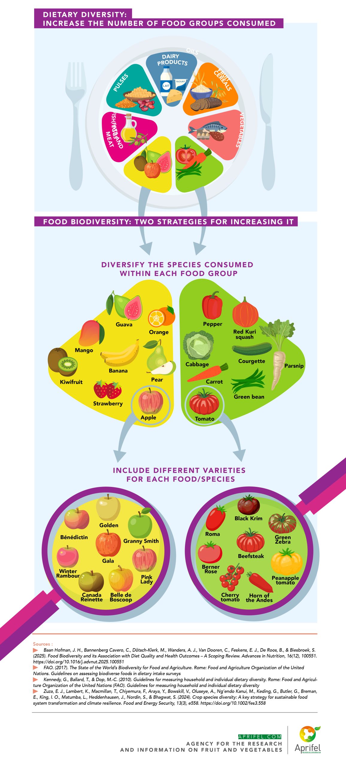 Infographic Food biodiversity