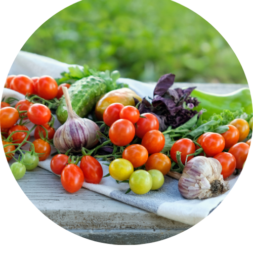 Diversité de légumes colorés Aprifel